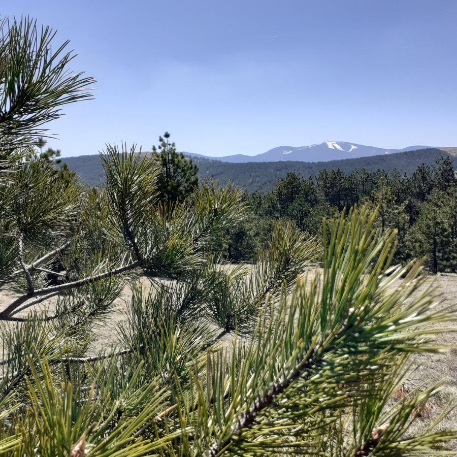 Zlatibor Hills, Top 41 Exterior photo